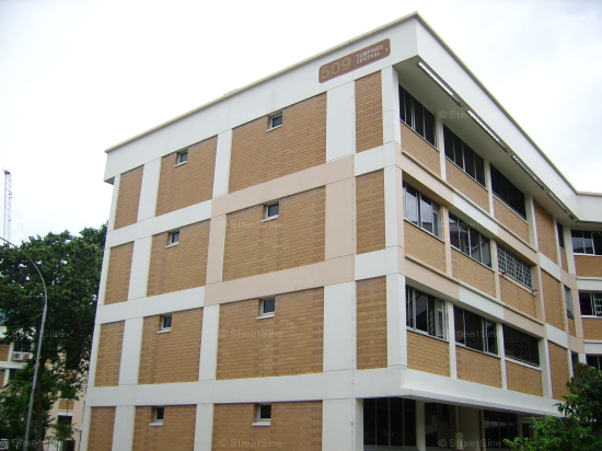 Blk 509 Tampines Central 1 (Tampines), HDB 4 Rooms #104802